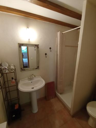 La salle de bains est pourvue d'un lavabo, d'une douche et d'un miroir. dans l'établissement Mas De Mauve, à Saint-Pierre-de-la-Fage