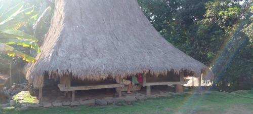 a hut with a thatched roof with people sitting in it at FARILA LODGE in Kelimutu