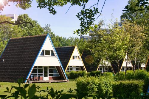 a row of cottages in a park at Ferienhauspark Asgard in Damp in Damp