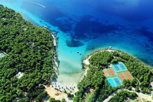 an aerial view of a small island in the water at Pine Beach Pakostane - All Inclusive light in Pakoštane