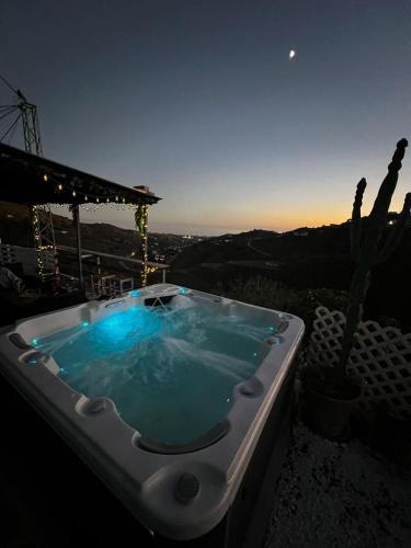 a jacuzzi tub with a cactus in a yard at Casa Rural Málaga Monkey Love con jacuzzi in Iznate
