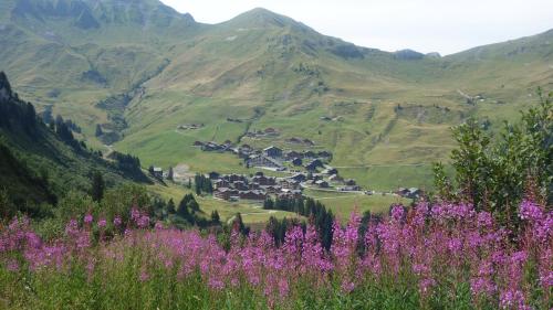 a village in a mountain valley with pink flowers at Hotel L'Etable in Les Crosets