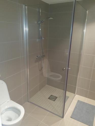 Cosy 1bedrom apartment في Lorenskog: كشك للاستحمام مع مرحاض في الحمام