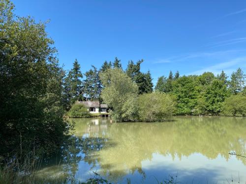 Blick auf einen See mit einem Haus im Hintergrund in der Unterkunft Cottage du Diot, son lac et son île in Bannegon
