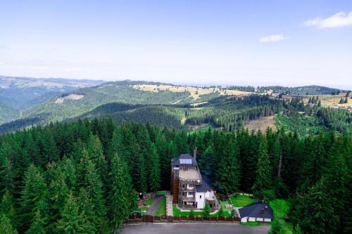 an aerial view of a house in the middle of a forest at Castelul de Piatra in Păltiniş