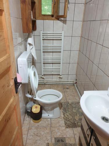a bathroom with a toilet and a sink at Casa Lacramioara in Sîmbăta de Sus