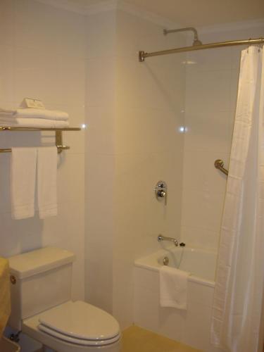 a bathroom with a shower and a toilet and a sink at Hotel Diego de Almagro Lomas Verdes in Concepción