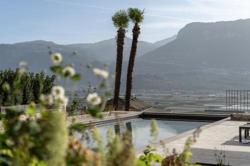a swimming pool with two palm trees and a mountain at Ansitz Romani in Termeno
