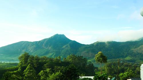 a mountain in the distance with trees in front of it at Munnar Valley View in Munnar