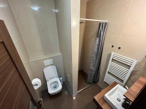 een kleine badkamer met een toilet en een wastafel bij Ubytovanie pod Bielymi Karpatmi in Nové Mesto nad Váhom