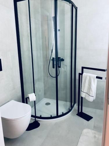 a bathroom with a glass shower with a toilet at Apartamenty Zuzanny in Mińsk Mazowiecki