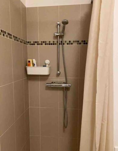La salle de bains est pourvue d'une douche avec rideau de douche. dans l'établissement Redelpha, à Carrières-sous-Poissy