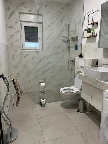 a bathroom with a shower and a toilet and a sink at LU DA kuca in Sveti Ivan Zelina
