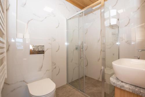 a bathroom with a shower and a toilet and a sink at Pod Hawraniem Ski & Bike Friendly in Jurgów