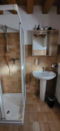 W łazience znajduje się prysznic i umywalka. w obiekcie Cjase Cjandin w mieście Cercivento