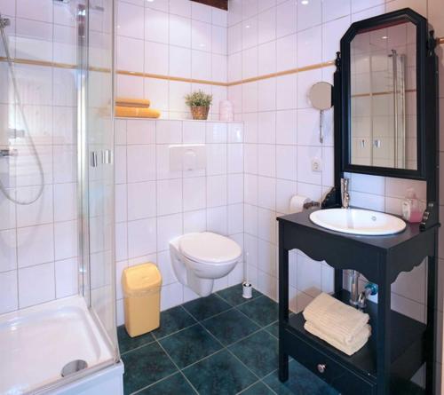 a bathroom with a sink and a toilet and a shower at Ferien am Schloss Duckwitz in Duckwitz