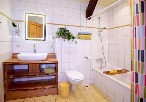 a bathroom with a sink and a toilet and a tub at Ferien am Schloss Duckwitz in Duckwitz