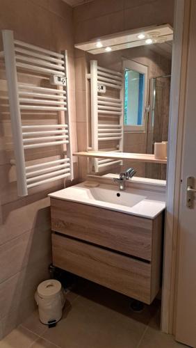 ein Bad mit einem Waschbecken und einem Spiegel in der Unterkunft Gîte De Séjour Les Sables in Brégnier-Cordon