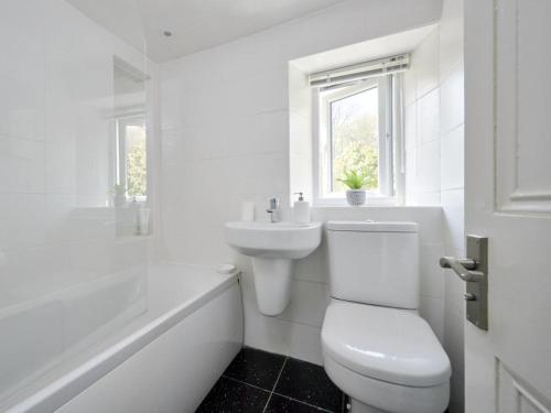 ein weißes Bad mit einem WC und einem Waschbecken in der Unterkunft 4 Bed in Braithwaite SZ533 in Braithwaite