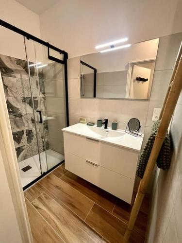 une salle de bain avec un lavabo blanc et une douche dans l'établissement La maison de Gaston*Arles*Arènes, à Arles
