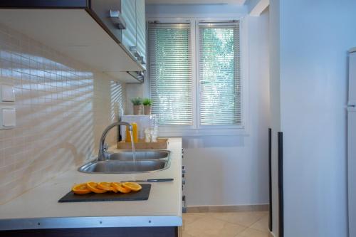Agoritsa Beachfront Apartment with its own pontoonにあるキッチンまたは簡易キッチン