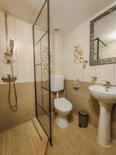 a bathroom with a toilet and a sink and a shower at Complex Turistic Luminita in Moieciu de Sus