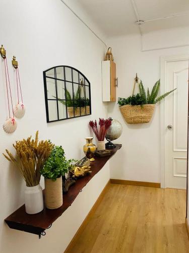 a room with a shelf with plants on the wall at Alojamiento Calma in Hospitalet de Llobregat