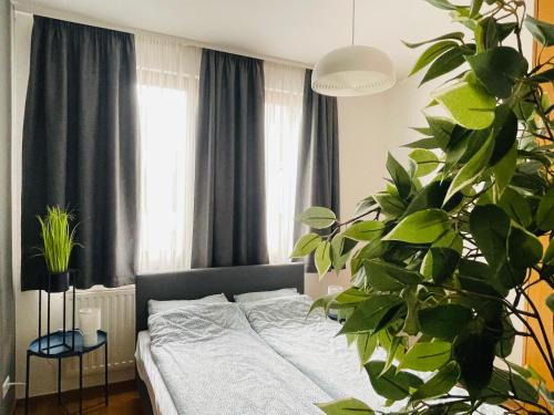 - une chambre avec un lit et une plante en pot dans l'établissement Bp-EST CP, à Budapest