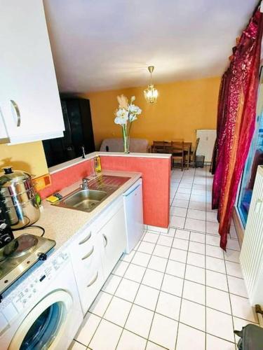 cocina con fregadero y lavadora en Studio - Thermes de Mondorf, en Mondorf-les-Bains