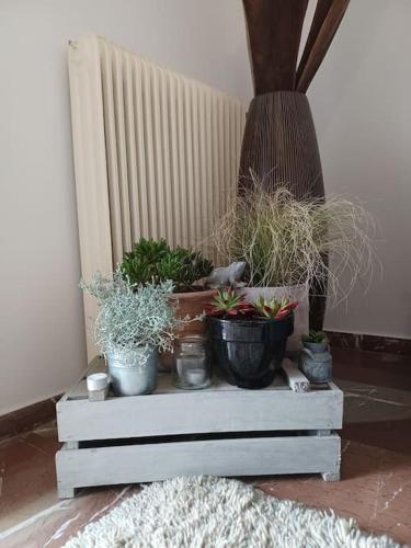 Gambar di galeri bagi Apollo Apartment Athens/Airport di Spáta