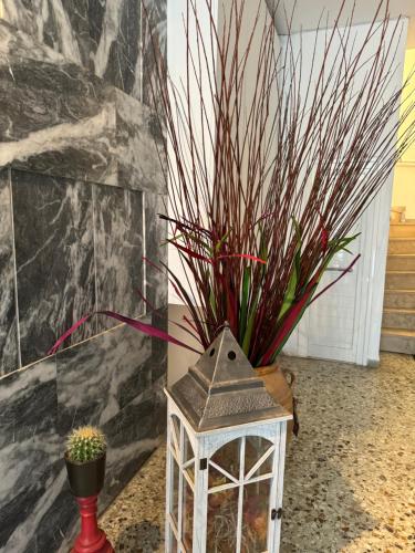 Gambar di galeri bagi Apollo Apartment Athens/Airport di Spáta