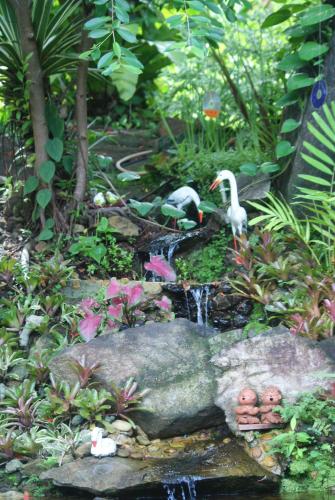two birds in a garden with a waterfall at Rock Inn Bailan in Ko Chang