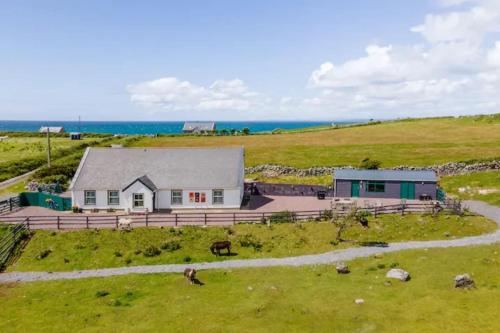 a house in a field with the ocean in the background at Into The Burren in Murroogh