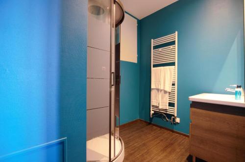 bagno con doccia e parete blu di Le saint vincent ii a Villenauxe-la-Grande
