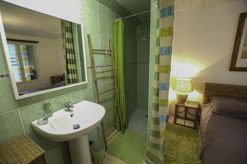 Un baño con lavabo y ducha al lado de una cama. en Au chant du coq, en Saint-Lyé