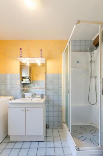 a bathroom with a shower and a sink at La miellerie in Bligny