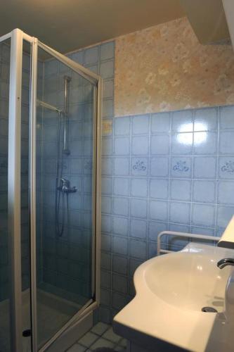 a bathroom with a shower and a sink at La compagnie du soleil in Bligny