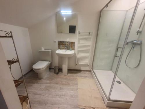 une salle de bain avec toilettes, lavabo et douche dans l'établissement studio3 spacieux 1à4 pers, à Marboz