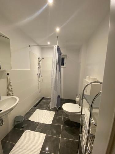 a white bathroom with a toilet and a sink at Wienerwald Juwel in Irenental