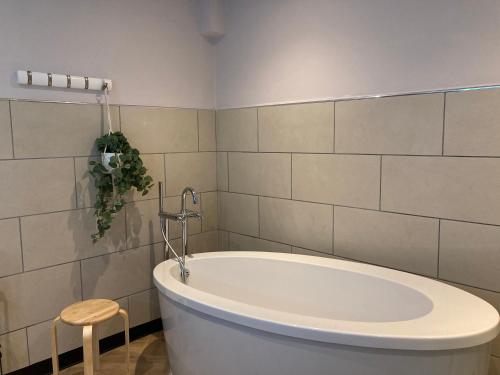 a bath tub in a bathroom with a plant on the wall at 21212 in Edinburgh