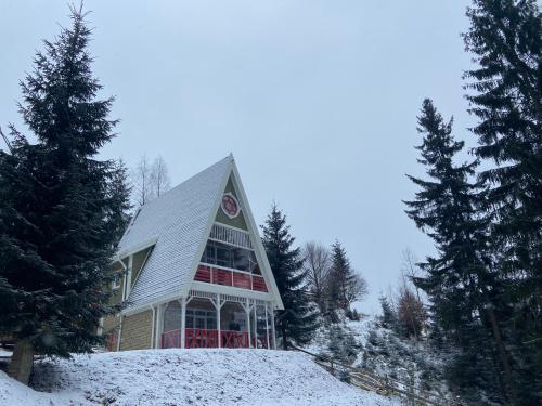 a house on top of a hill in the snow at Апартементи для 4 людей з окремим входом та терасою - весь перший поверх нового котеджу Freeman Bukovel - поряд витяг R1 in Bukovel