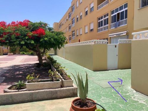 een groene vloer op een binnenplaats met bomen en planten bij Apartamento LOLO in El Médano