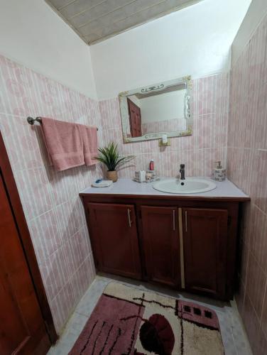 a bathroom with a sink and a mirror at Comfy and Cozy Apartment in Georgetown