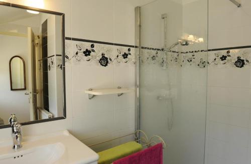 y baño con ducha, lavabo y espejo. en Le gite du passage, en Romilly-sur-Seine