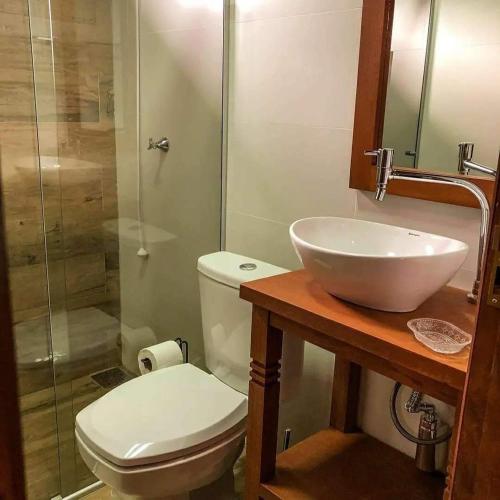 a bathroom with a toilet and a sink and a shower at Chalés Altos Da Montanha - Mont Blanc in Bom Jardim da Serra