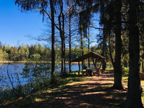 a picnic shelter next to a lake with trees at Inkilas in Sidabrinės