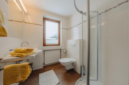 a bathroom with a shower and a toilet and a sink at Haus Platina in Sankt Gallenkirch
