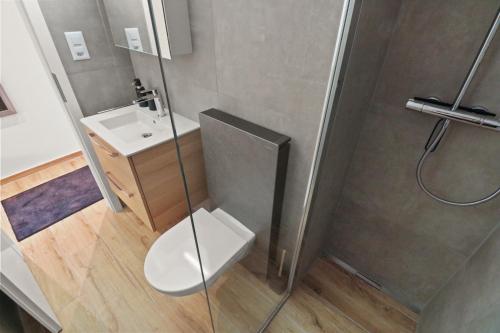 a bathroom with a shower with a toilet and a sink at Joli studio avec parking gratuit in Crans-Montana