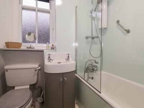 een badkamer met een toilet, een wastafel en een douche bij The Roses in Windermere