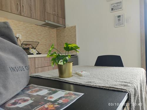 a table in a kitchen with a potted plant on it at Las Hermanas for 2 in Perea